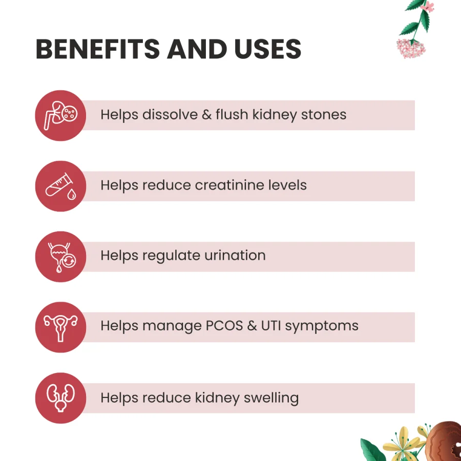 Kidney Detox Benefits