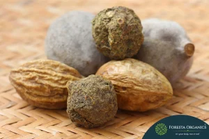 Triphala 2