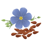 Flaxseed