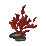 astaxanthin algae